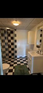 a bathroom with a sink and a toilet and a shower at Hørballegård in Skanderborg