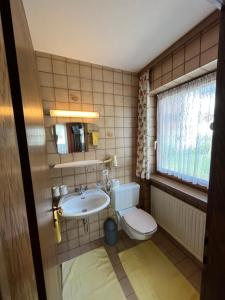 a bathroom with a sink and a toilet and a window at Haus Alpenblick in Serfaus
