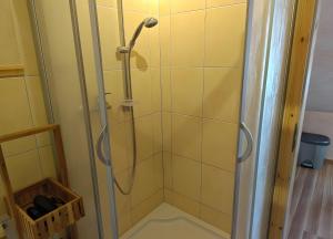 a shower with a shower head in a bathroom at Fewo Backboard in Röbel