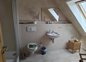 a bathroom with a sink and a toilet and a mirror at Fewo Steuerboard in Röbel +4 photos