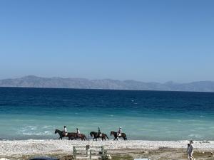 a group of people riding horses on the beach at Beachfront Luxury Studio with Panoramic Sea View in Ialysos
