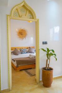 a mirror in a room with a bed and a plant at Ocean Breeze Guest House in Tamraght Ouzdar