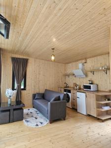 a living room with a couch and a kitchen at Merisi Horizon 2 in Silibauri