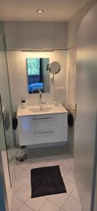 a bathroom with a sink and a mirror at Zimnitzblick in Haiden