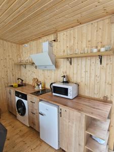 a kitchen with a microwave and a stove at Merisi Horizon 2 in Silibauri