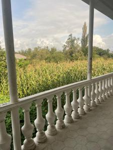 a white balcony with a view of a cornfield at GuestHouse Tekhura in Martvili