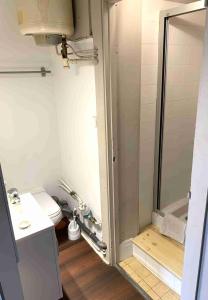 a bathroom with a shower and a toilet at Studio Léman in Chambéry