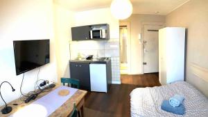 a small apartment with a kitchen and a living room at Studio Léman in Chambéry +12 photos