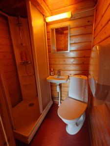 a bathroom with a toilet and a sink at Lofoten Budget Hostel in Å
