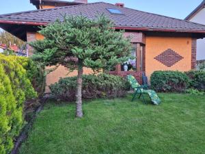 a tree and a chair in front of a house at Apartament KNIEJA LUX in Tuchola