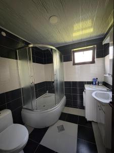 a bathroom with a shower and a toilet and a sink at Alazani 2015 in Duisi