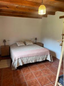 a bedroom with a bed and two lamps and a ceiling at Casa Goyo in Viego