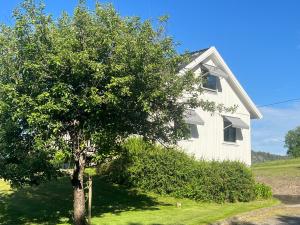 ein Baum vor einem weißen Haus in der Unterkunft Svarteborg Dingle in Dingle