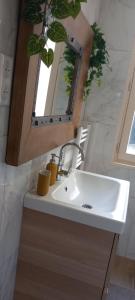 a bathroom with a sink and a mirror at Cas'ArtiGè in Troyes