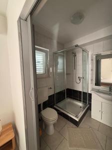 a bathroom with a shower and a toilet and a sink at Foissner Apartments in Zavalatica +49 photos