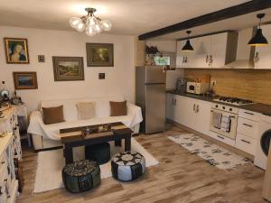 a living room with a couch and a kitchen at Casa Luna in Călimăneşti