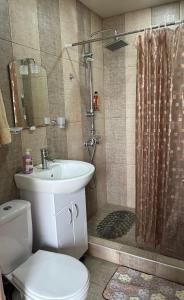 a bathroom with a toilet and a sink and a shower at Garden House in Yerevan +21 photos