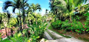 a path through a tropical garden with palm trees at Romantic Suite with Pool in Fortuna