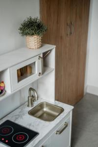 a kitchen with a sink and a plant on a counter at Vakantiewoning Spoor 23 in Borgloon +43 photos