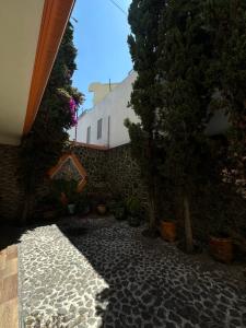 a stone courtyard with trees and a building at Hotel Galería Mediterráneo in Santa Ana Huiloac +5 photos