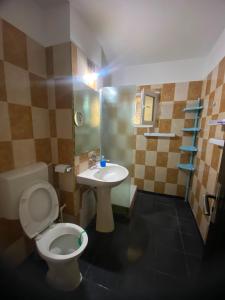 a bathroom with a toilet and a sink at Apartament Maria in Năvodari