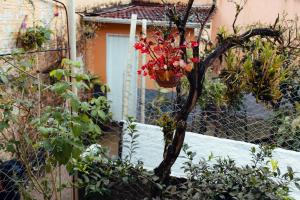 a small tree with a pot of red flowers on it at Recanto D'Carvalho in Passa Quatro