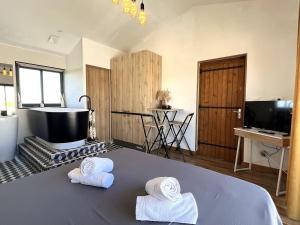 a room with a bed with towels on top of it at Studio cosy avec balnéo et climatisation in Albi