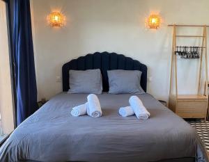 a bed with two white pillows on top of it at Studio cosy avec balnéo et climatisation in Albi