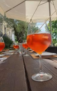 a row of wine glasses sitting on a wooden table at Skalameri in Kozljak