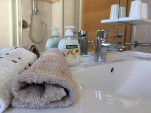 Koupelna v ubytování Sonnhof