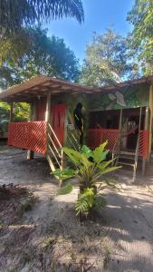 a small house with a plant in front of it at Hospedaria Ponta da Flexeira in Belém
