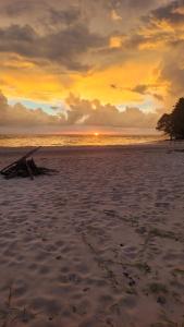 a sunset on a beach with a tree branch on the sand at Hospedaria Ponta da Flexeira in Belém