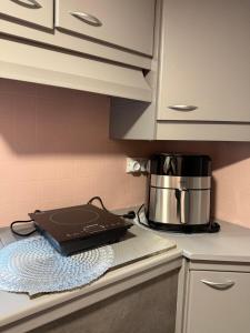 a pan sitting on a counter in a kitchen at SeaSoul Cottage in Zvejniekciems