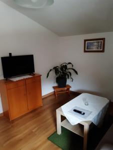a living room with a tv and a table at Haus Anneliese in Gröbming