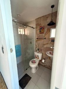 a bathroom with a shower and a toilet and a sink at Hospedaje El Encanto in Zipaquirá