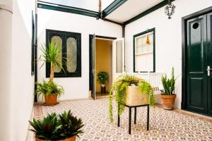 a room with potted plants and a green door at Casa Los Profesores, encanto tradicional canario en La Orotava in La Orotava