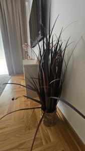a vase with a plant sitting on a floor at Apartman E&A in Radanovići