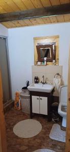 a bathroom with a sink and a mirror at Casuta lui Andrei in Brezoi