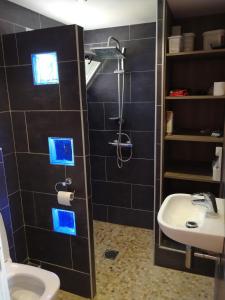 a bathroom with a sink and a shower and a toilet at Gîte les palmiers in Roquebrune-sur-Argens +7 photos