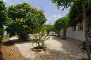a garden with fruit trees and a building at Keur Tisserin Joyeux in Saly Portudal