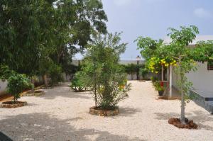 a row of trees in the middle of a courtyard at Keur Tisserin Joyeux in Saly Portudal