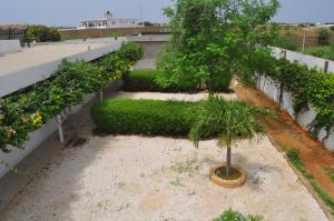 a garden with a palm tree on a building at Keur Tisserin Joyeux in Saly Portudal