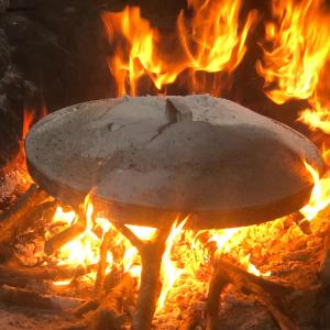 a mushroom sitting on top of a fire at Ardi Selimaj in Valbonë