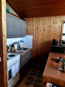 a kitchen with a stove and a sink at A cosy 2 bedroom cabin with an amazing view in Borgarnes