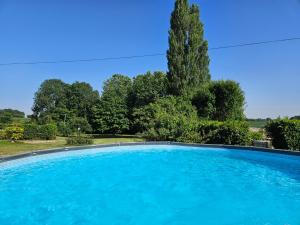a large blue swimming pool with a tree in the background at Le Clos des Argillières in Le Perrey