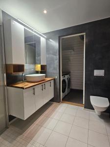 a bathroom with a sink and a washing machine at Hillegård 6E in Lærdalsøyri +11 photos