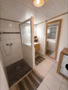 a bathroom with a shower and a sink and a mirror at Le KOZY, LULU, FAR FAR in Saint-Joseph