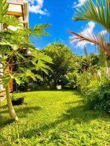a garden with green grass and a palm tree at Le KOZY, LULU, FAR FAR in Saint-Joseph