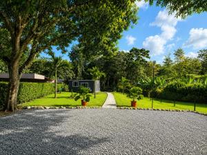 a driveway with trees and a house in the background at Río Celeste Stay in Rio Celeste