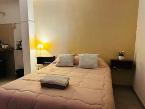 a bedroom with a large bed with two pillows at Pequeño Monoambiente céntrico 1E in Puerto Iguazú